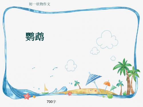 初一状物作文《鹦鹉》700字(共10页PPT)