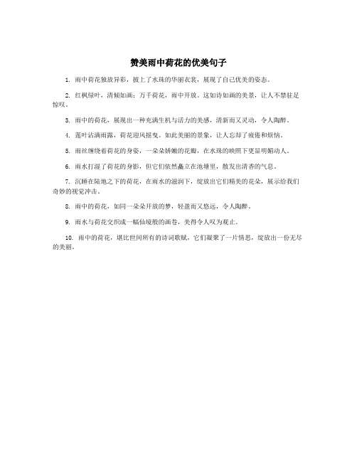 赞美雨中荷花的优美句子