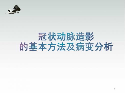冠状动脉造影的基本方法及病变分析幻灯片课件