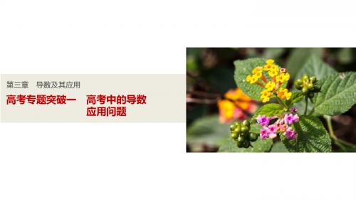 2017版高考数学(理)人教A版(全国)一轮复习课件：高考专题突破一 高考中的导数应用问题