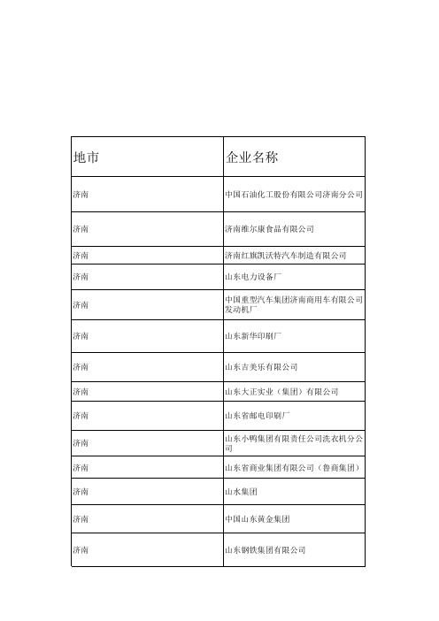 山东大型企业汇总及联系方式
