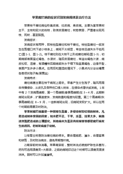 苹果腐烂病的症状识别发病规律及治疗方法