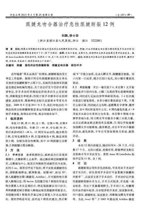 跟腱龙吻合器治疗急性跟腱断裂12例