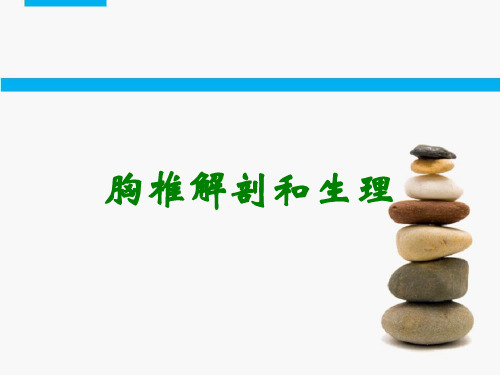 胸椎解剖和生理