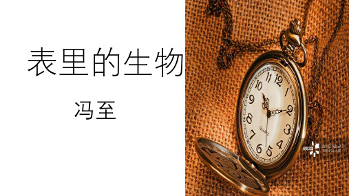 新版人教部编版六年级语文下册课件《13表里的生物》(共11张PPT)公开课课件ppt