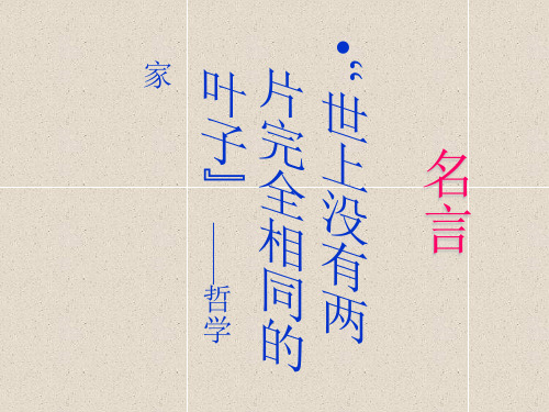 《奇妙的克隆》课件02