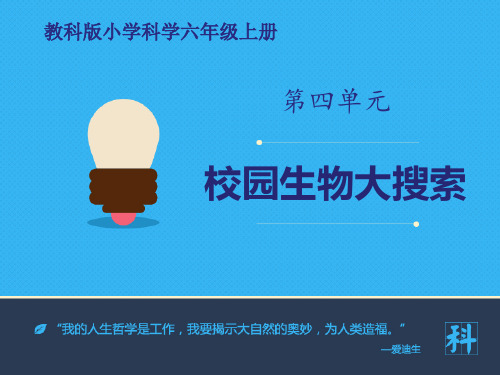 《校园生物大搜索》PPT课件