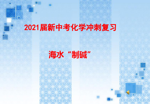 2021届新中考化学冲刺复习 海水制碱