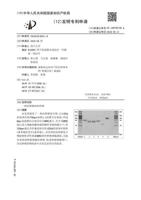 【CN109793750A】一种抗肿瘤纳米药物【专利】