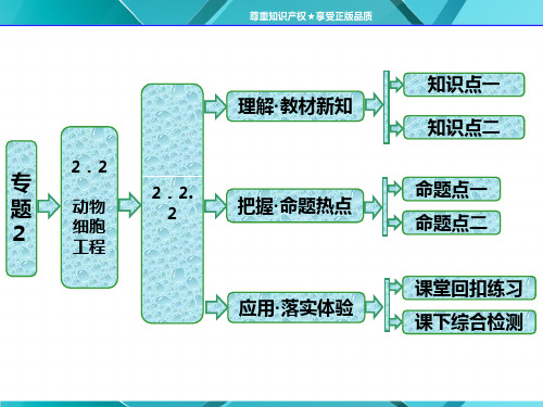 人教版选修3课件 第1部分 专题2 2.2 2.2.2 动物细胞融合与单克隆抗体