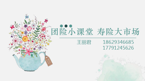 团险课件