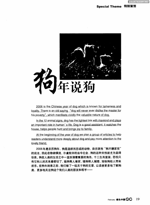 狗年说狗