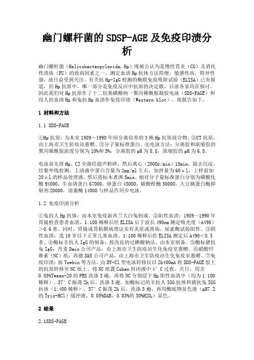 幽门螺杆菌的SDSP-AGE及免疫印渍分析