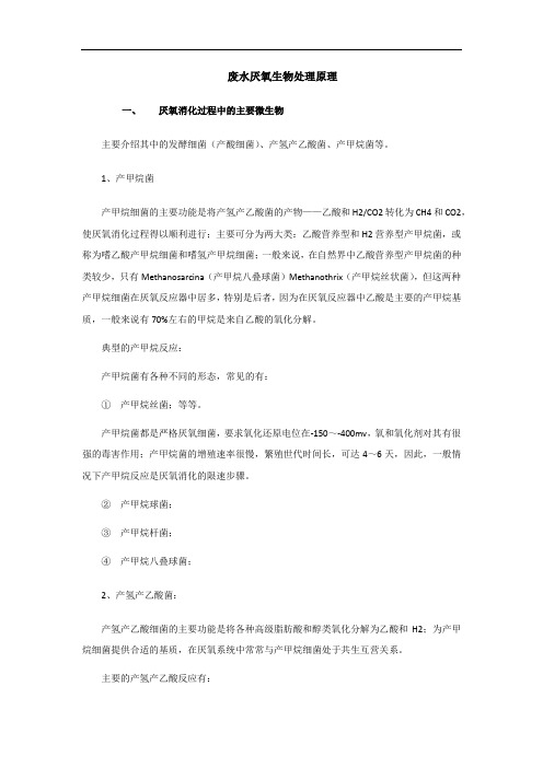 废水厌氧生物处理原理