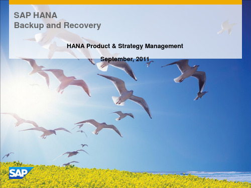 SAP HANA培训教材 03SAP HANA Backup RecoveryPPT课件