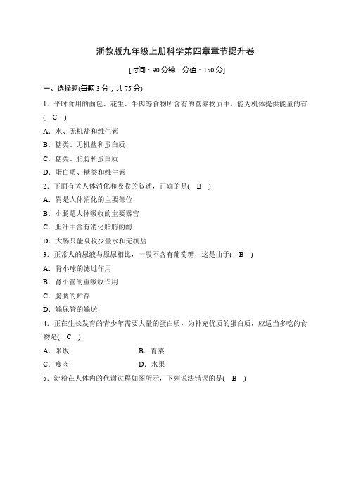 浙教版九年级上册科学第四章章节提升卷及答案