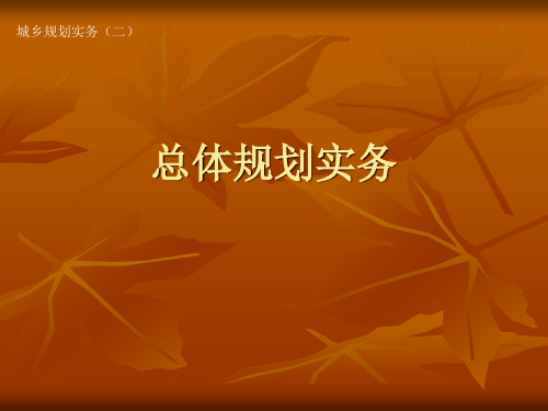 城乡规划实务(二)