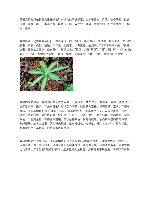 中药知识：重楼