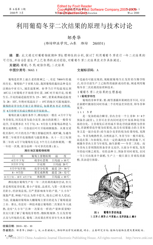 利用葡萄冬芽二次结果的原理与技术讨论_邹秀华