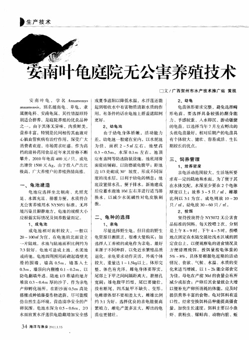 安南叶龟庭院无公害养殖技术