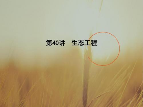 2018高考生物全国大一轮复习课件第十一单元 现代生物
