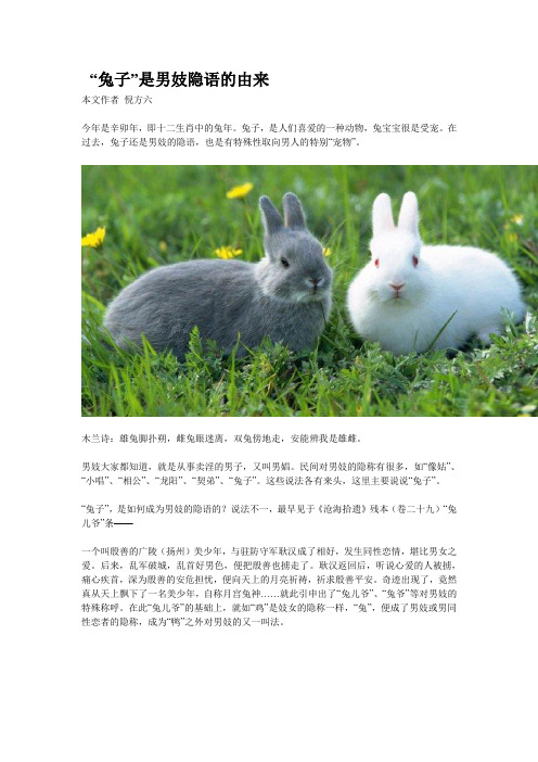 “兔子”是男妓隐语的由来