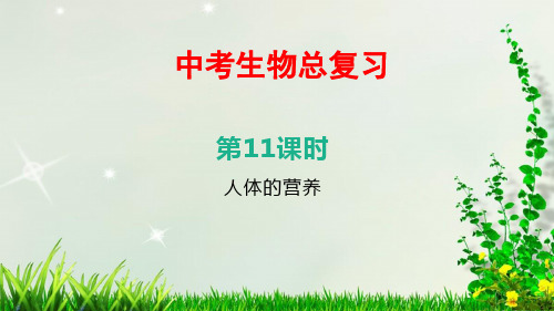 最新中考生物总复习——第11课时 人体的营养