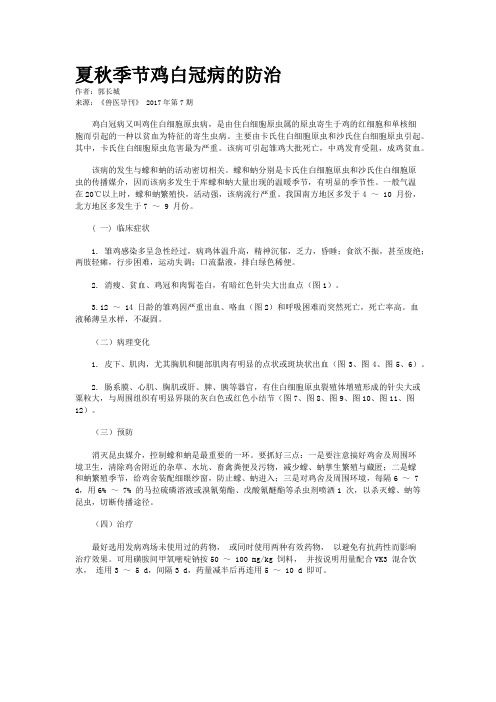 夏秋季节鸡白冠病的防治