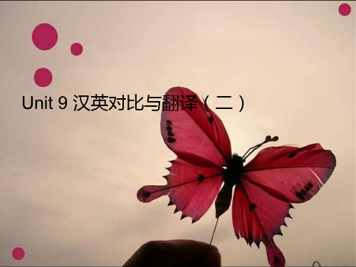 unit9 汉英对比与翻译二
