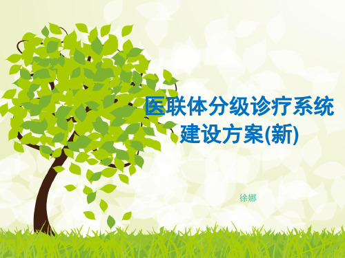 医联体分级诊疗系统建设方案(新)