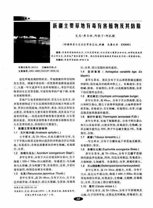 新疆主要草地有毒有害植物及其防除