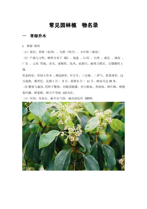 常见校园植物名录（附图片）