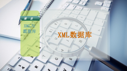 XML数据库