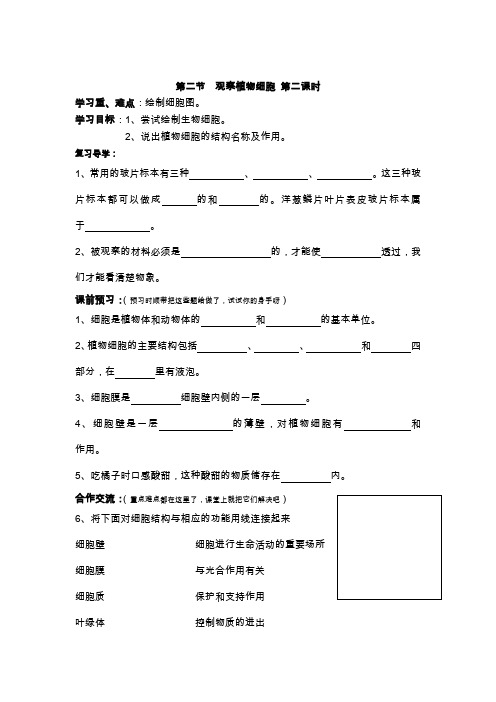 人教版生物七上第二节《 观察植物细胞》word学案一