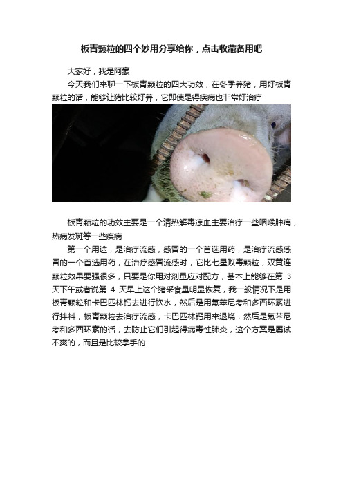 板青颗粒的四个妙用分享给你，点击收藏备用吧