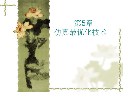 chapter5仿真优化
