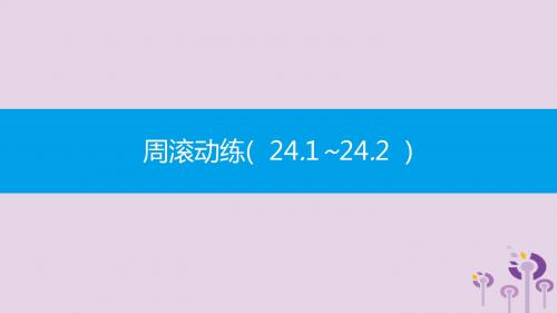 九年级数学下册 第24章 圆 周滚动练(24.124.2)课件 (