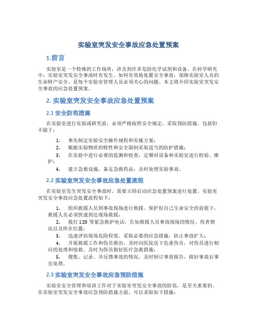 实验室突发安全事故应急处置预案