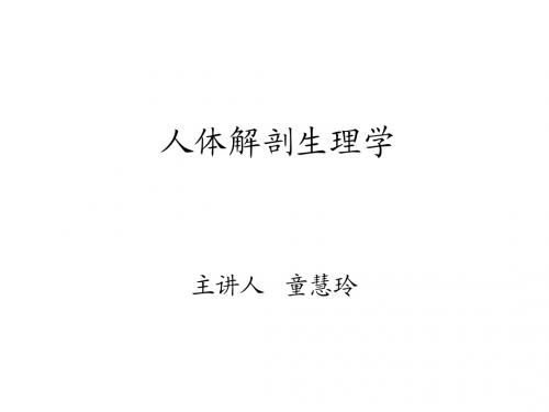人体解剖生理学
