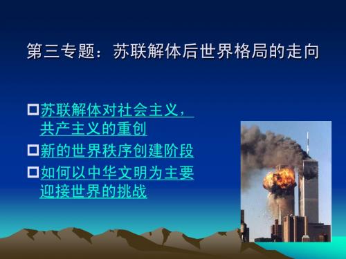 第三专题苏联解体后世界格局的走向