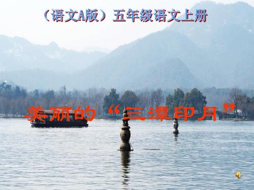 语文A版语文五上《美丽的“三潭印月”》ppt课件3