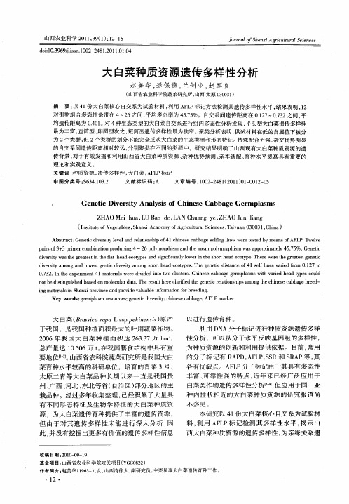 大白菜种质资源遗传多样性分析