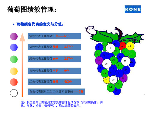 葡萄图绩效管理