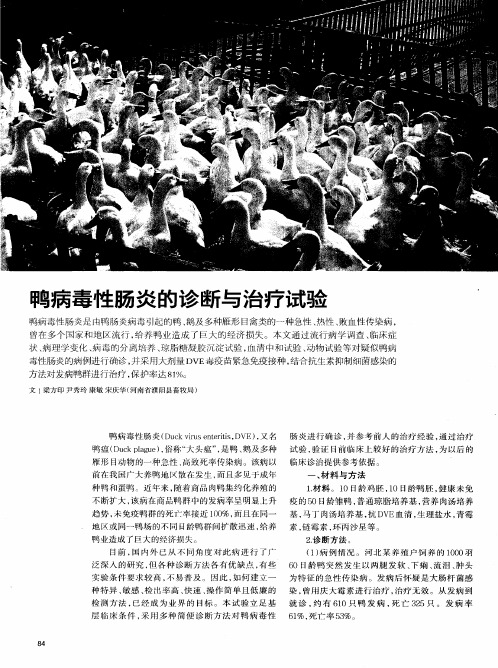 鸭病毒性肠炎的诊断与治疗试验