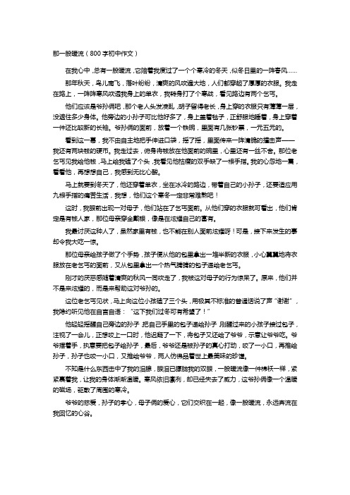 那一股暖流(800字初中作文)