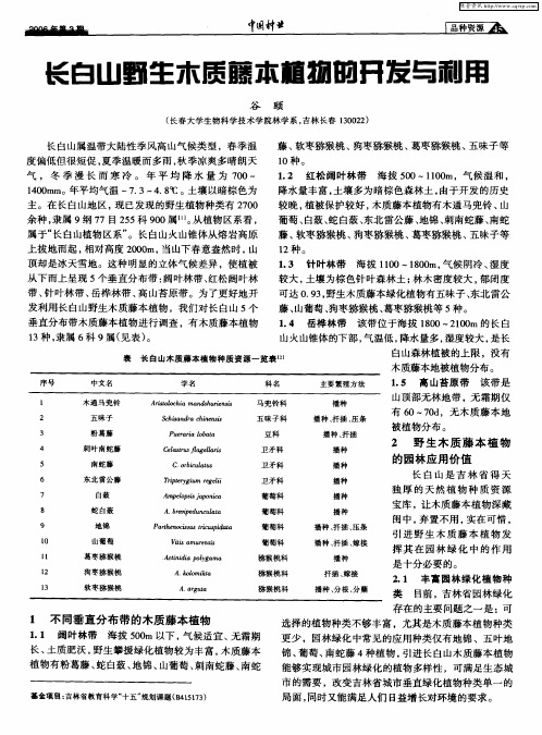 长白山野生木质藤本植物的开发与利用