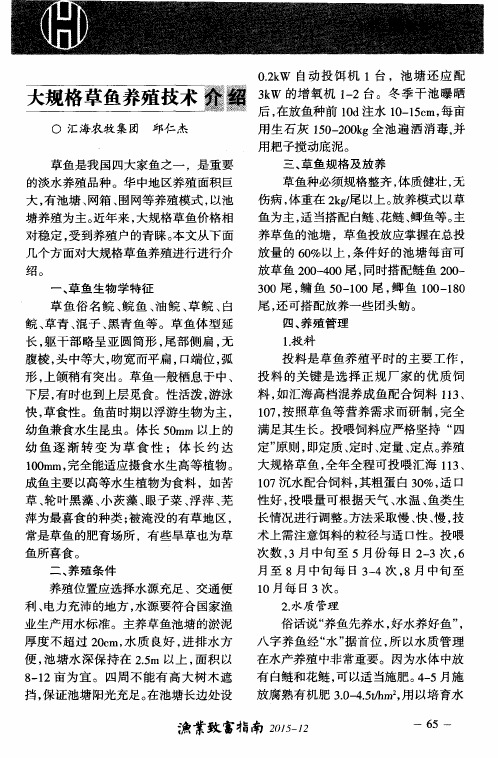 大规格草鱼养殖技术介绍