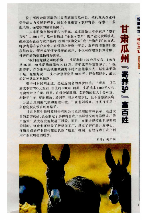 甘肃瓜州“奇养驴”富百姓
