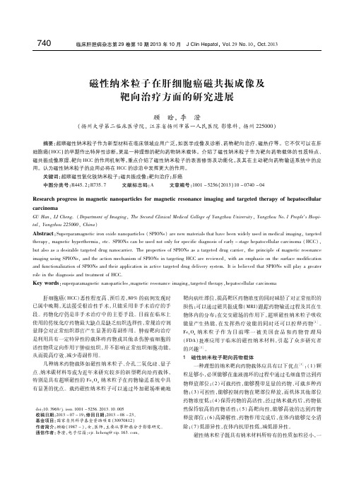磁性纳米粒子在肝细胞癌磁共振成像及靶向治疗方面的研究进展 顾晗
