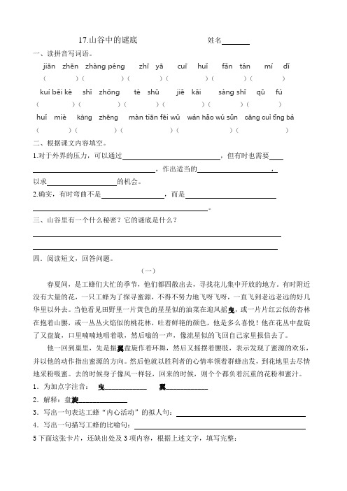 17山谷中的谜底 练习